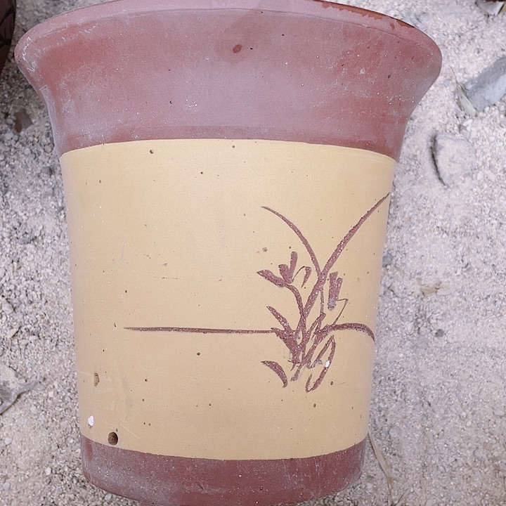 紫砂花哦呼P花片a9