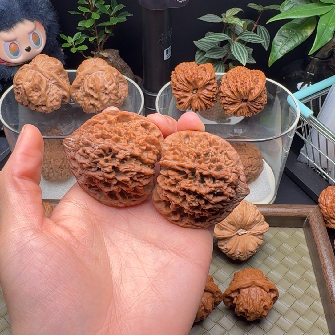 樂***事龙脊菩提吊坠全品46满天星