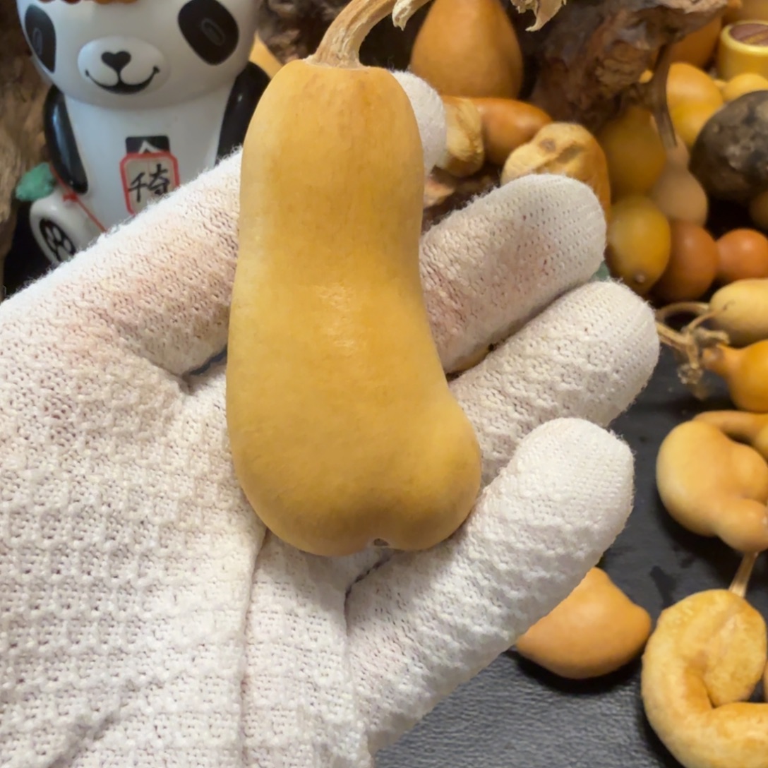 @***二66666666666666666667