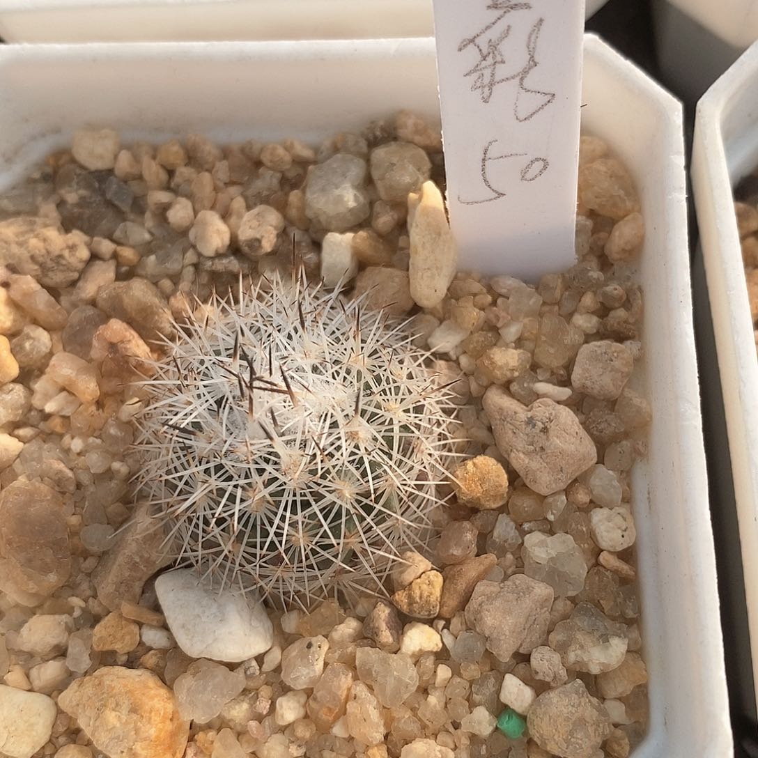 五****?土土土花花花花花花花花