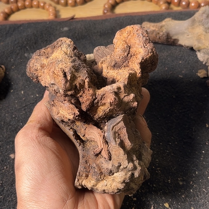 缘***&香榧木我们都市丽人医院的医生