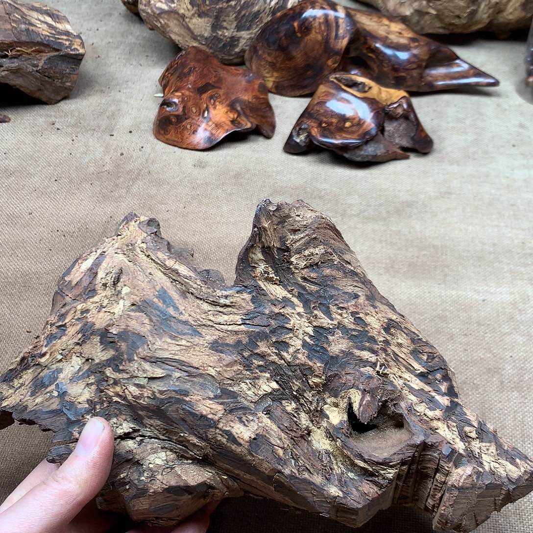 华***荐黄花梨/降香黄檀原材料品香料