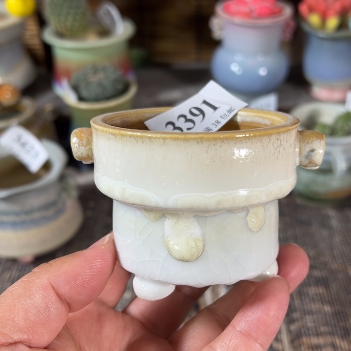 口6 未满30运费到付