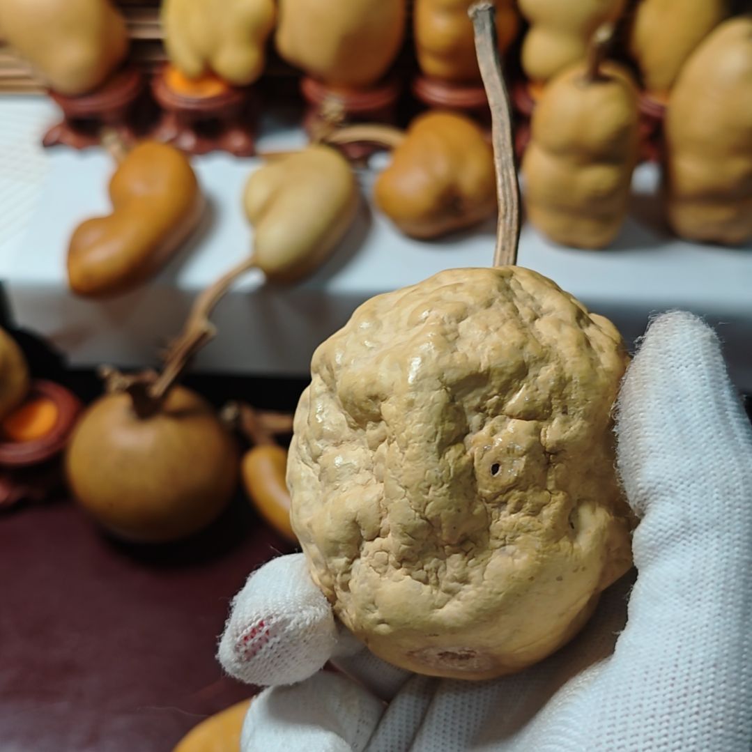 五***金精品土豆葫芦一物一拍