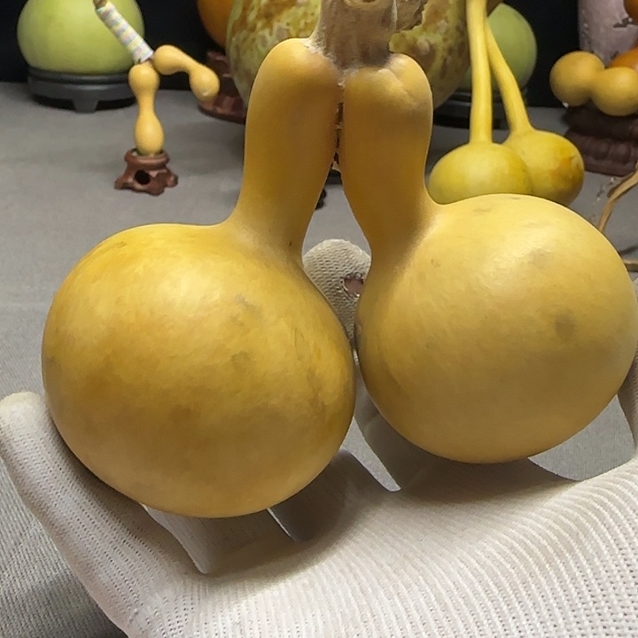 连体，色差，带大筋