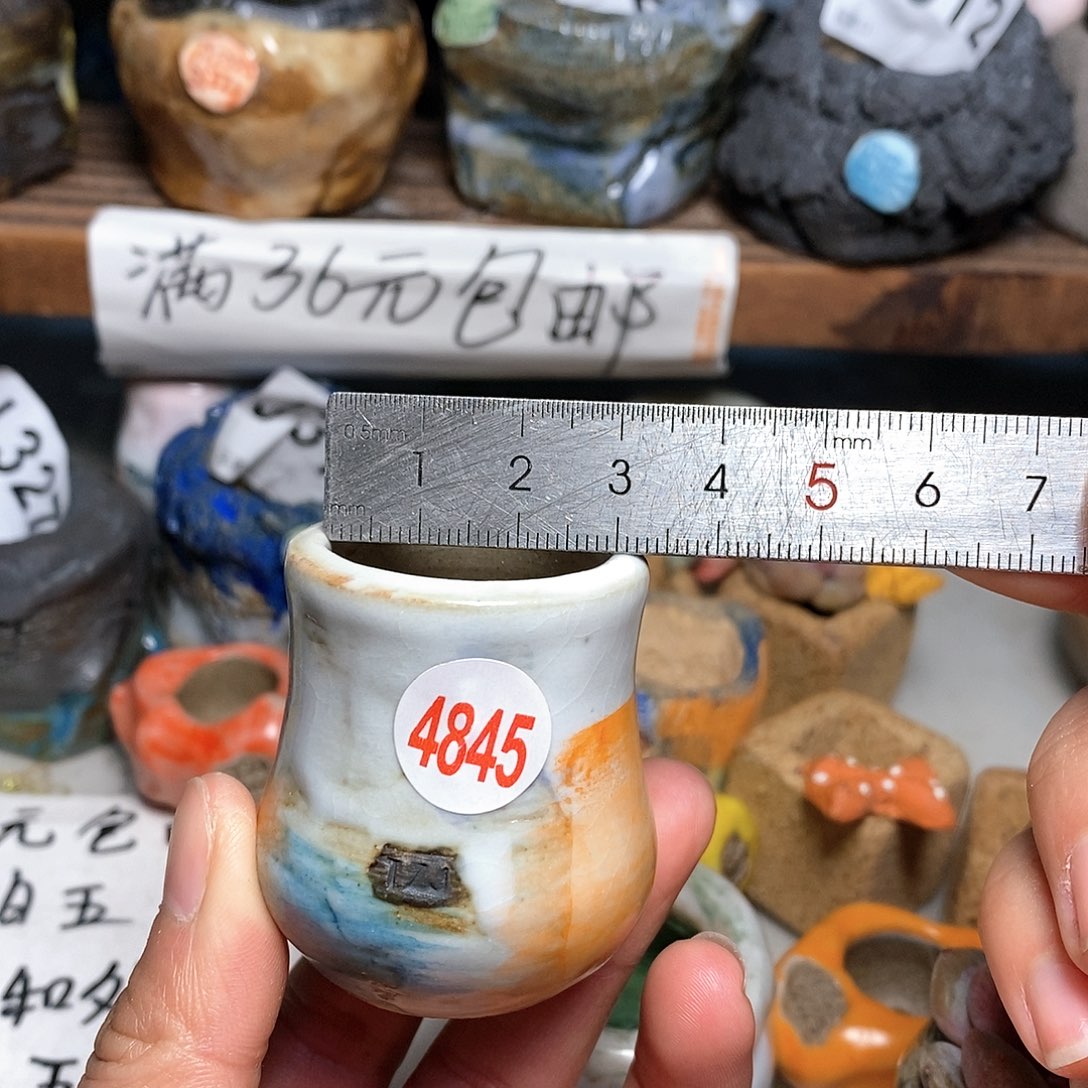 红陶拍5送一个小