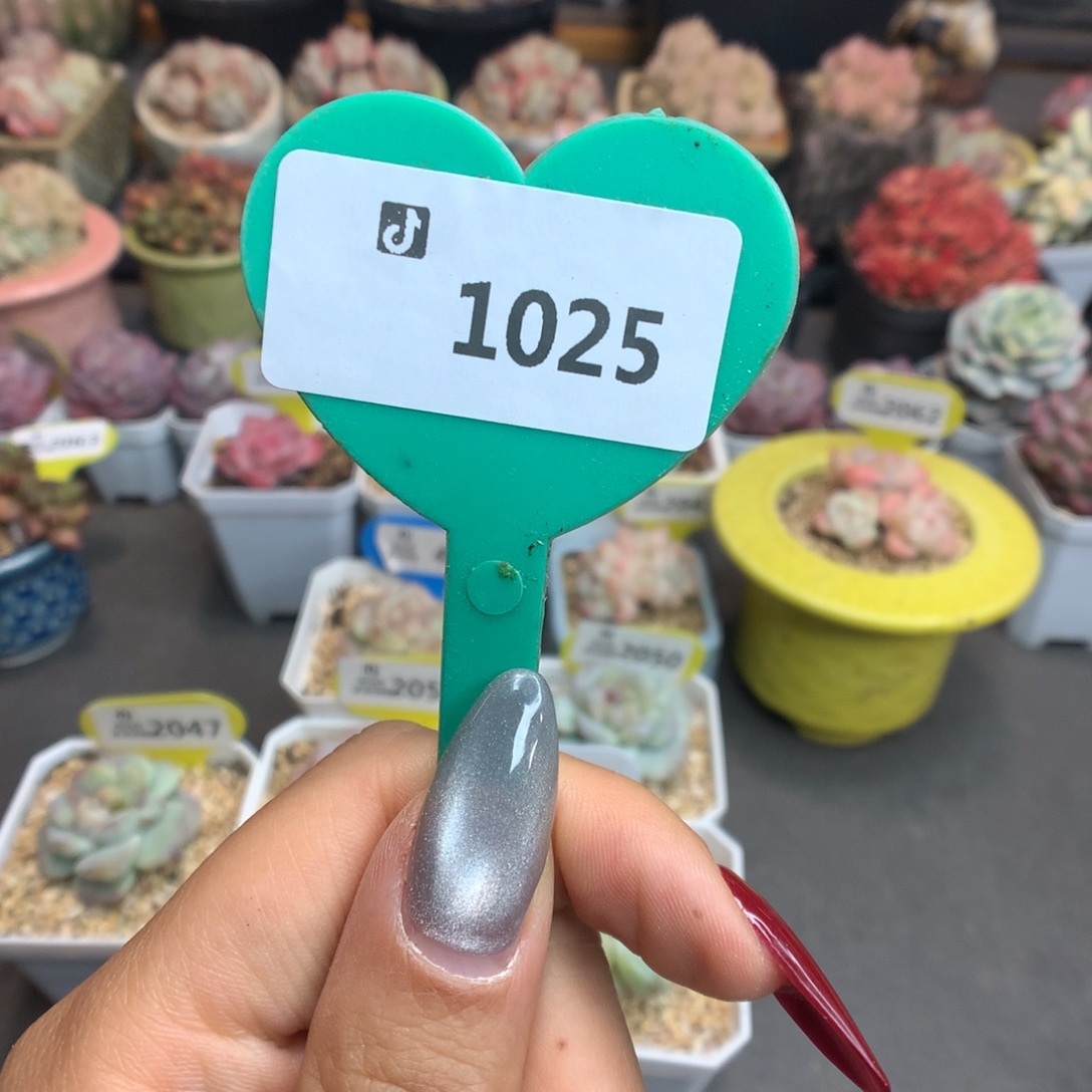 1025新年快乐盲盒