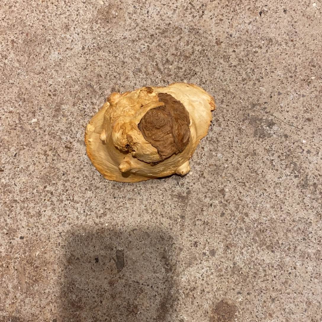 K***山荔枝木随形木材一个