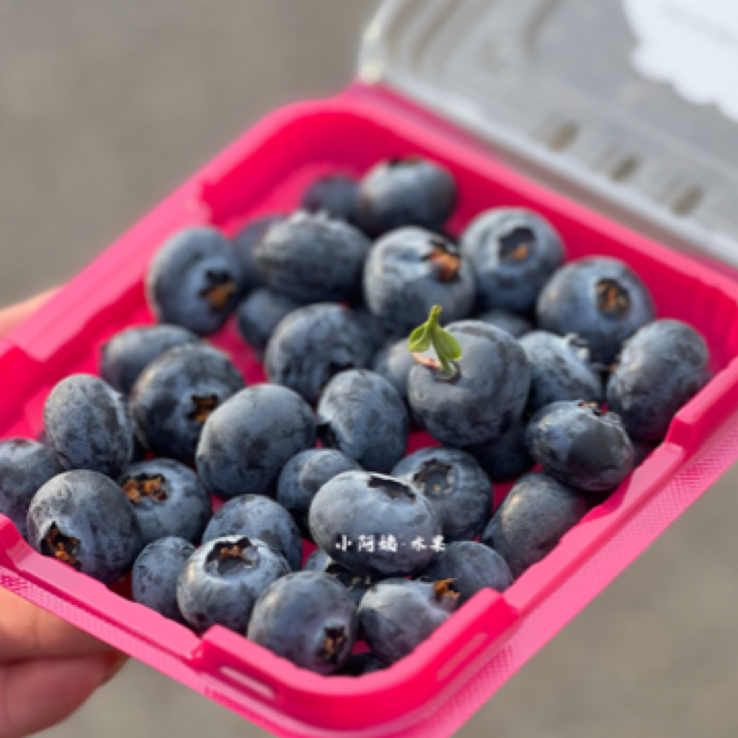 云南雪山恬蓝莓三盒装（17mm）3×125g