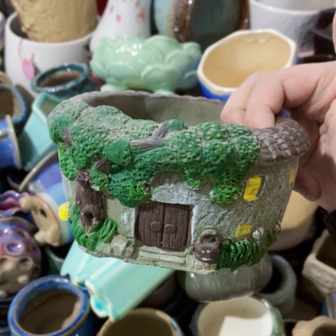 红陶订单凑满12包邮