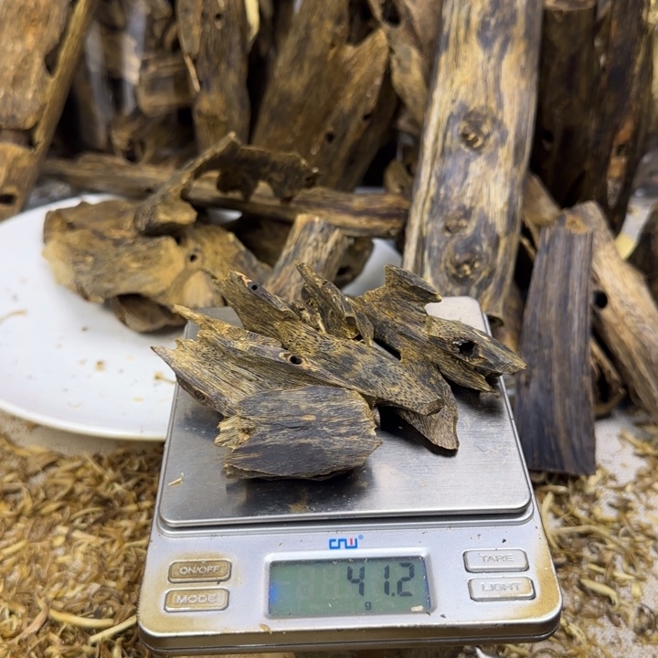沉香红骨凹身虫漏香41克