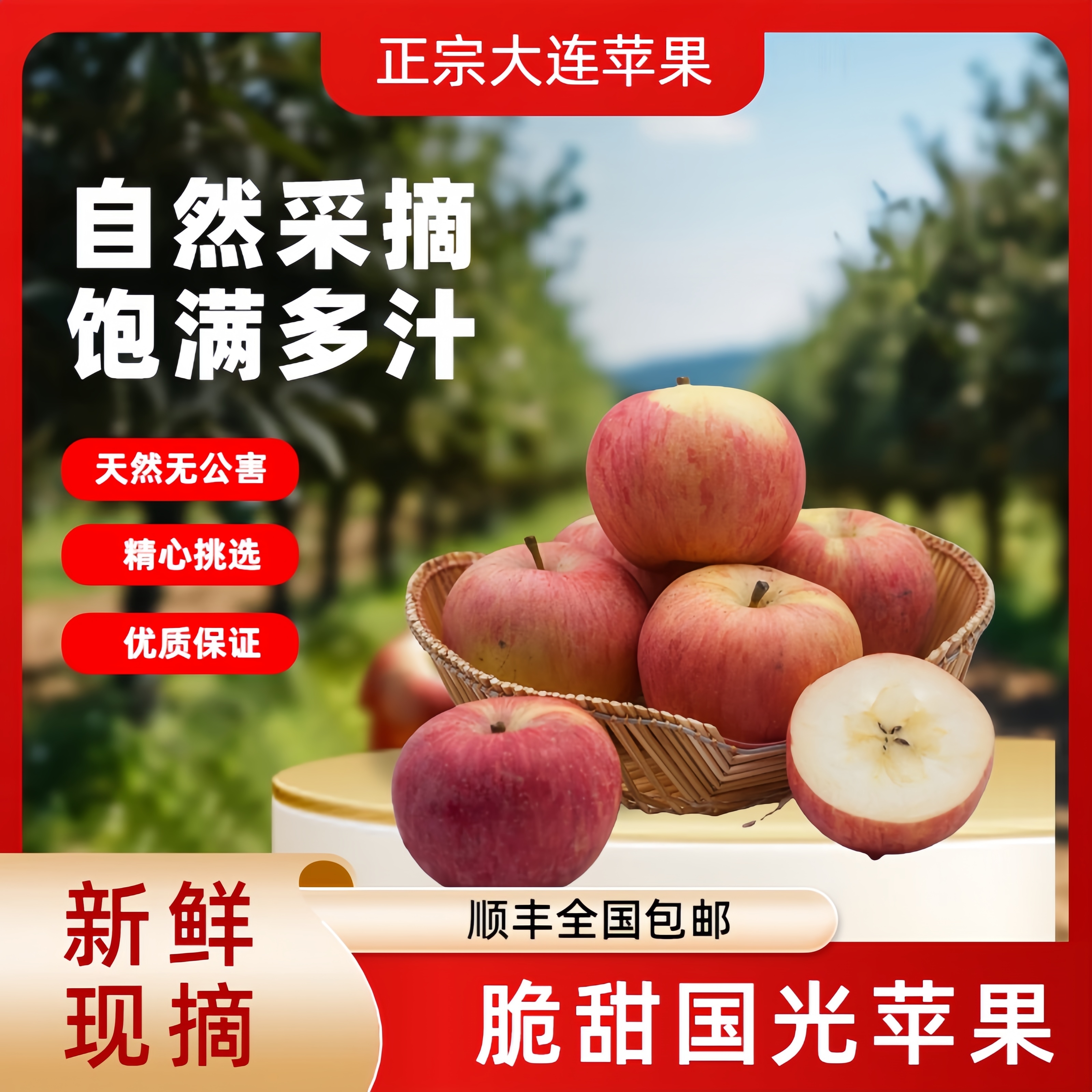 【顺丰包邮】正宗大连瓦房店苹果 国光脆甜多汁 自家种植 产地直发 嘎嘎甜脆 新鲜苹果辽宁省