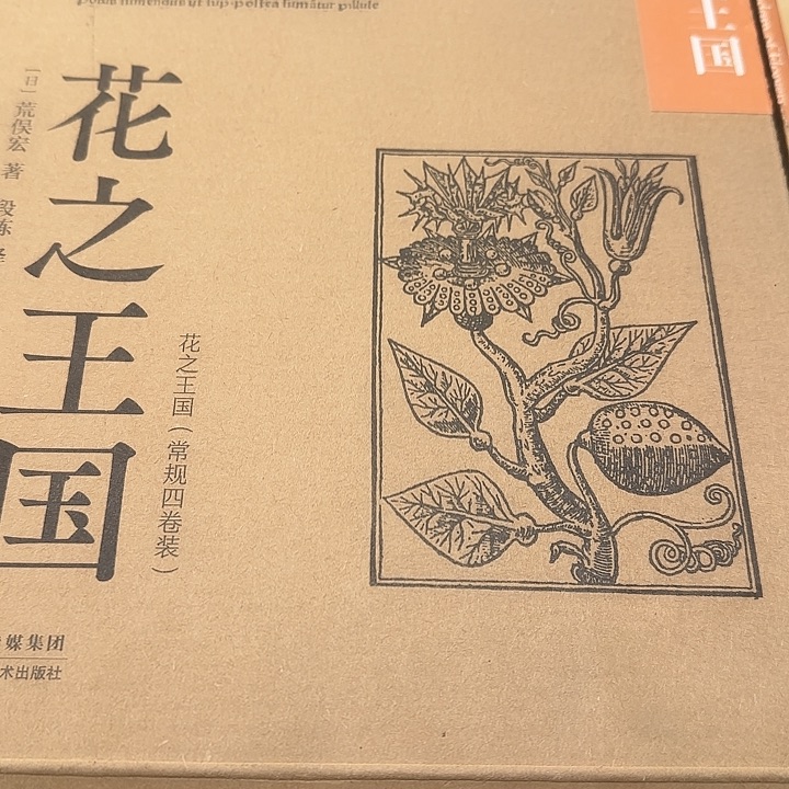 原价500多花之王国4本精装