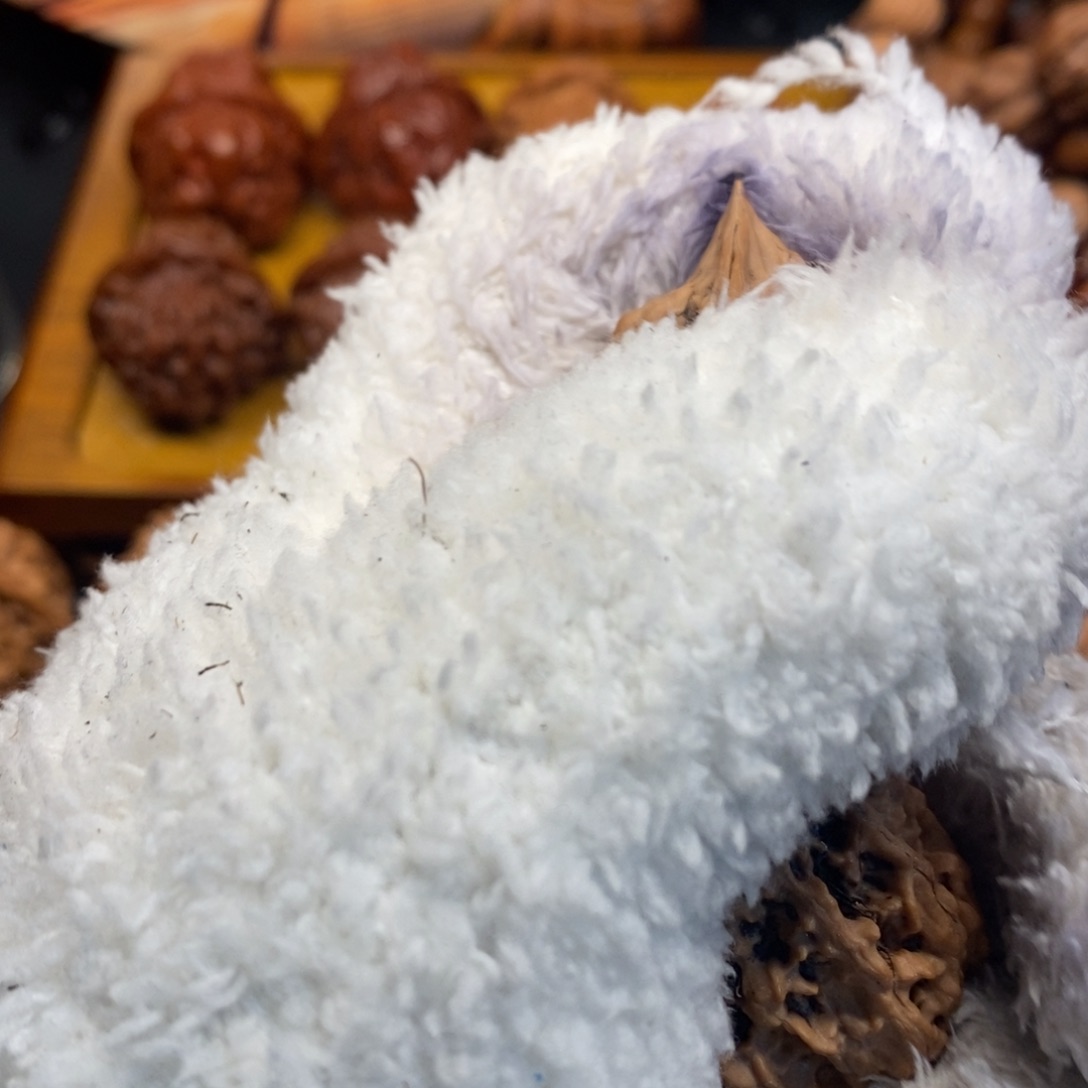 特***郝秦岭森林茂密和植被覆盖