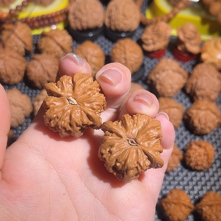 *****小密文全品打好底的34