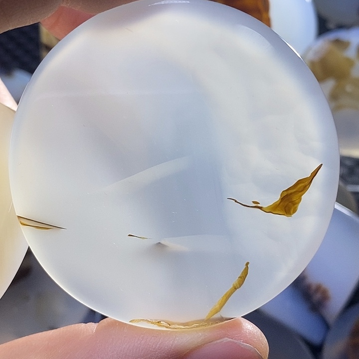 未镶嵌颈饰玛瑙/玉髓右*钉