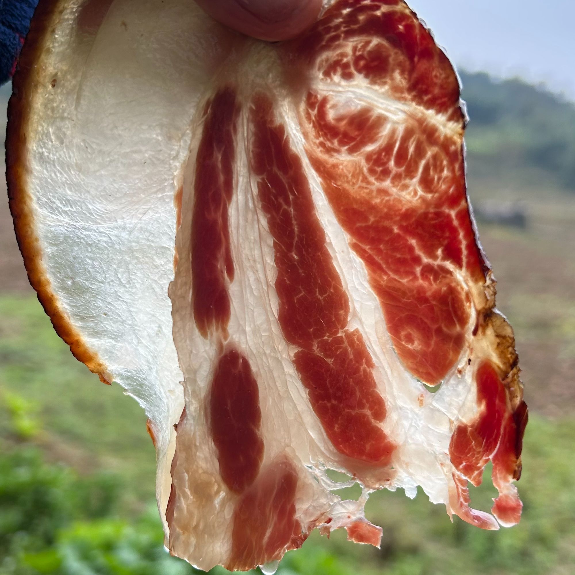 粮食土黑猪腊肉【前腿肉】