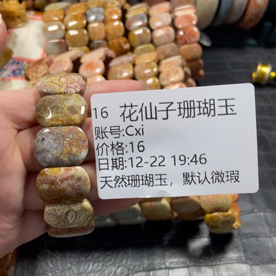 C***i硅化珊瑚（珊瑚玉）未镶嵌珠宝半成品16