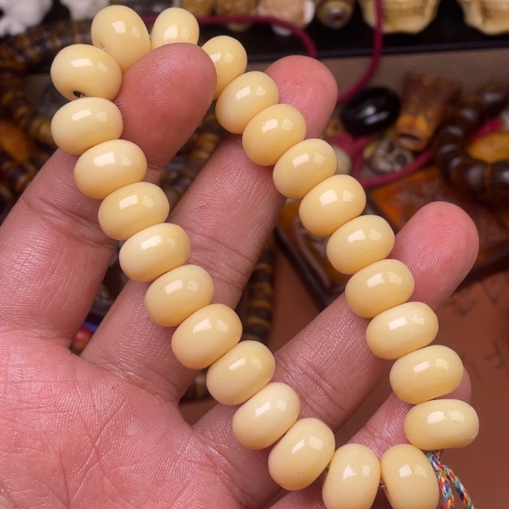 驼骨其他人工养殖 