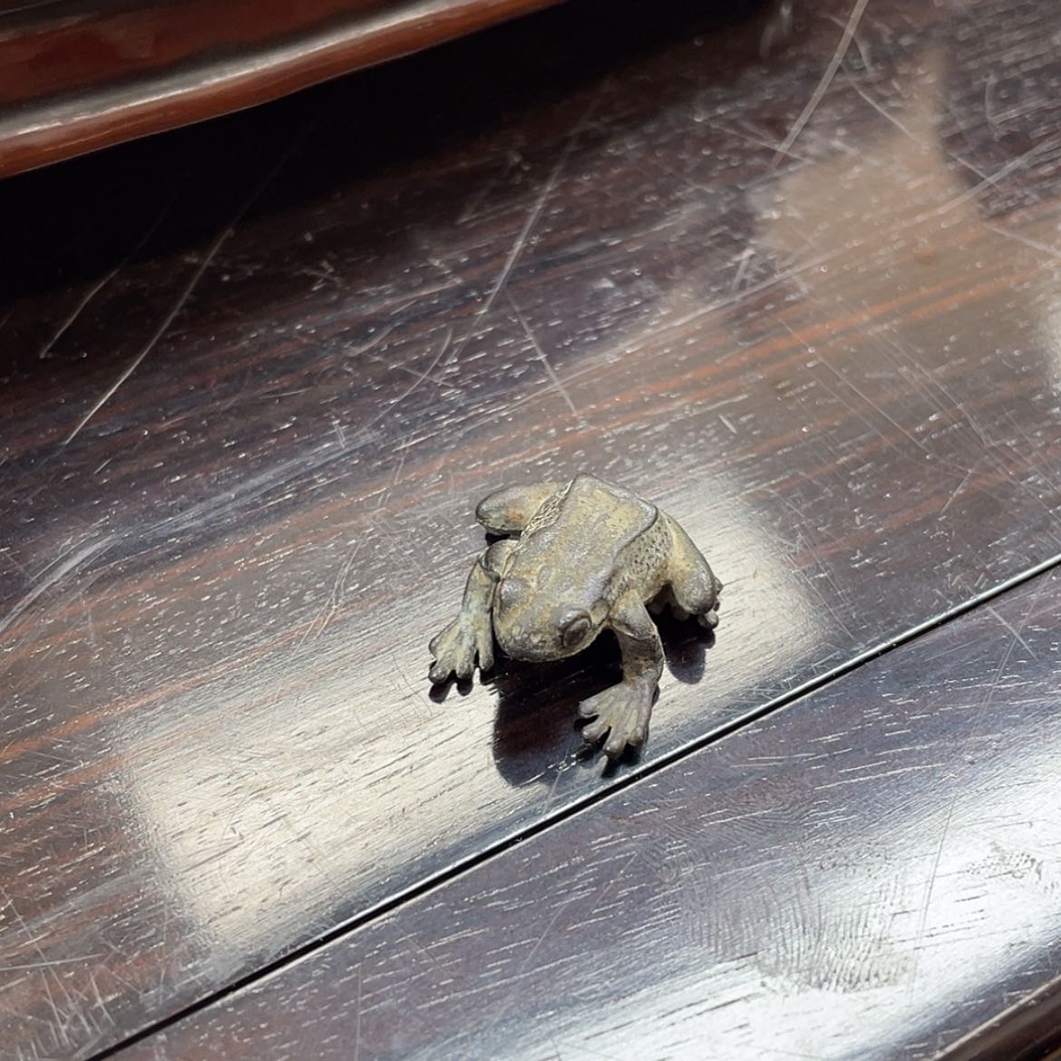 【闪购商品】编号009 -微瑕_ 回流物品，不是全新