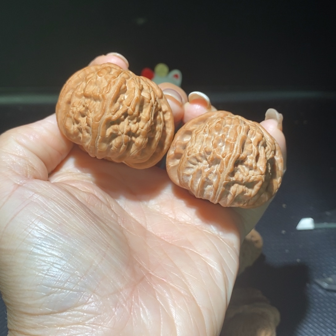 把件文玩核桃白狮子