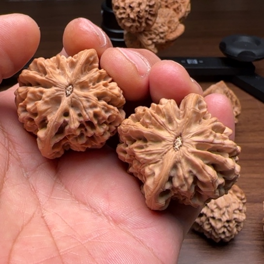 文玩核桃吊坠狗*棘