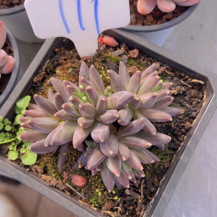 健健康康平平安安