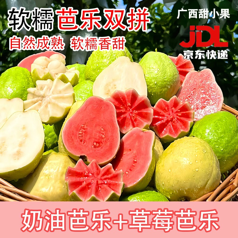 【京东发货】新鲜采摘红心+白心双拼软糯香甜广西奶油红白芭乐