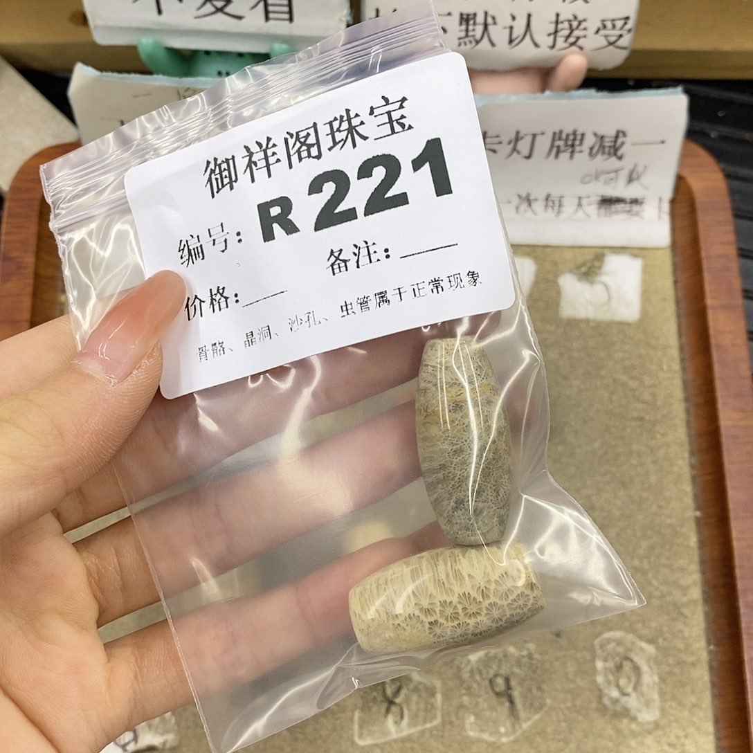 硅化珊瑚（珊瑚玉）未镶嵌颈饰圈****）