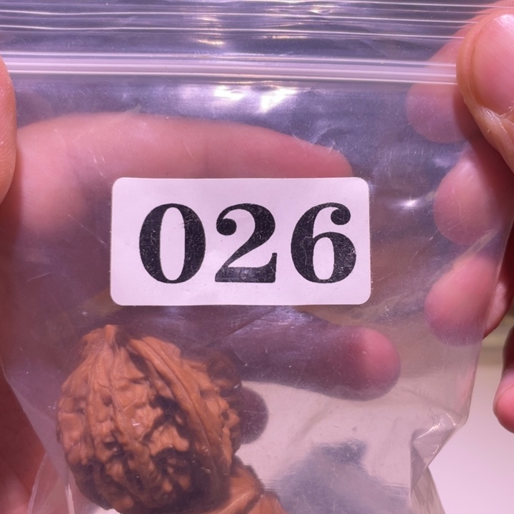 l***3文玩核桃吊坠026磨盘