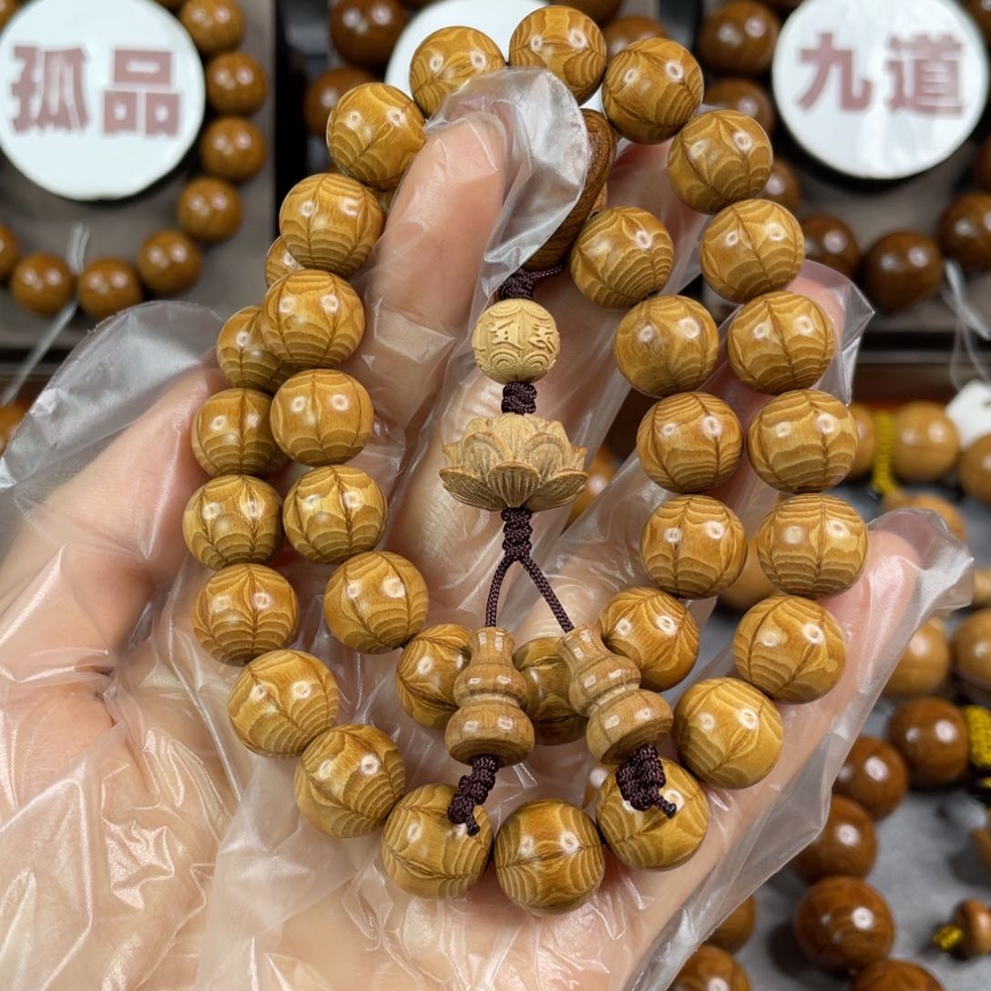 六道木黄金底， 毕业1.2