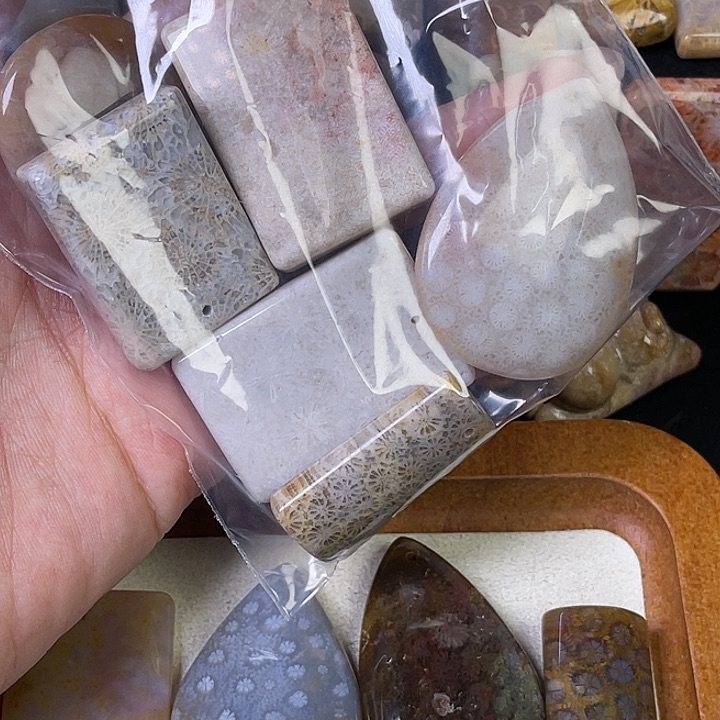 硅化珊瑚（珊瑚玉）珠宝金石合金?****?