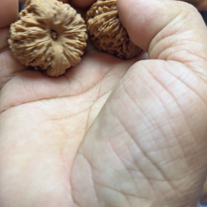 完全开放影**像南疆石