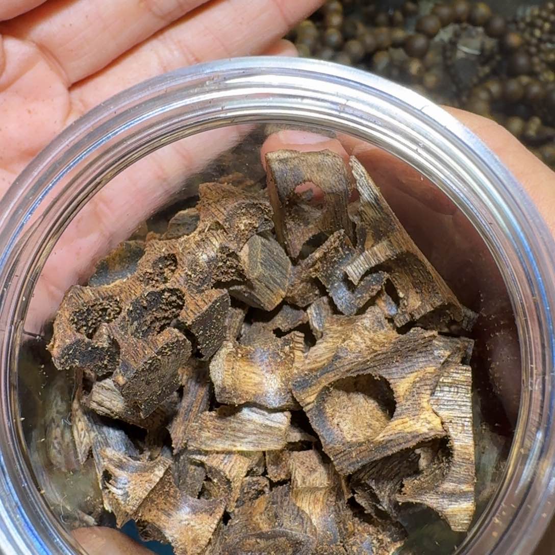 沉香沉香枕海南莺歌绿奇楠60克➕