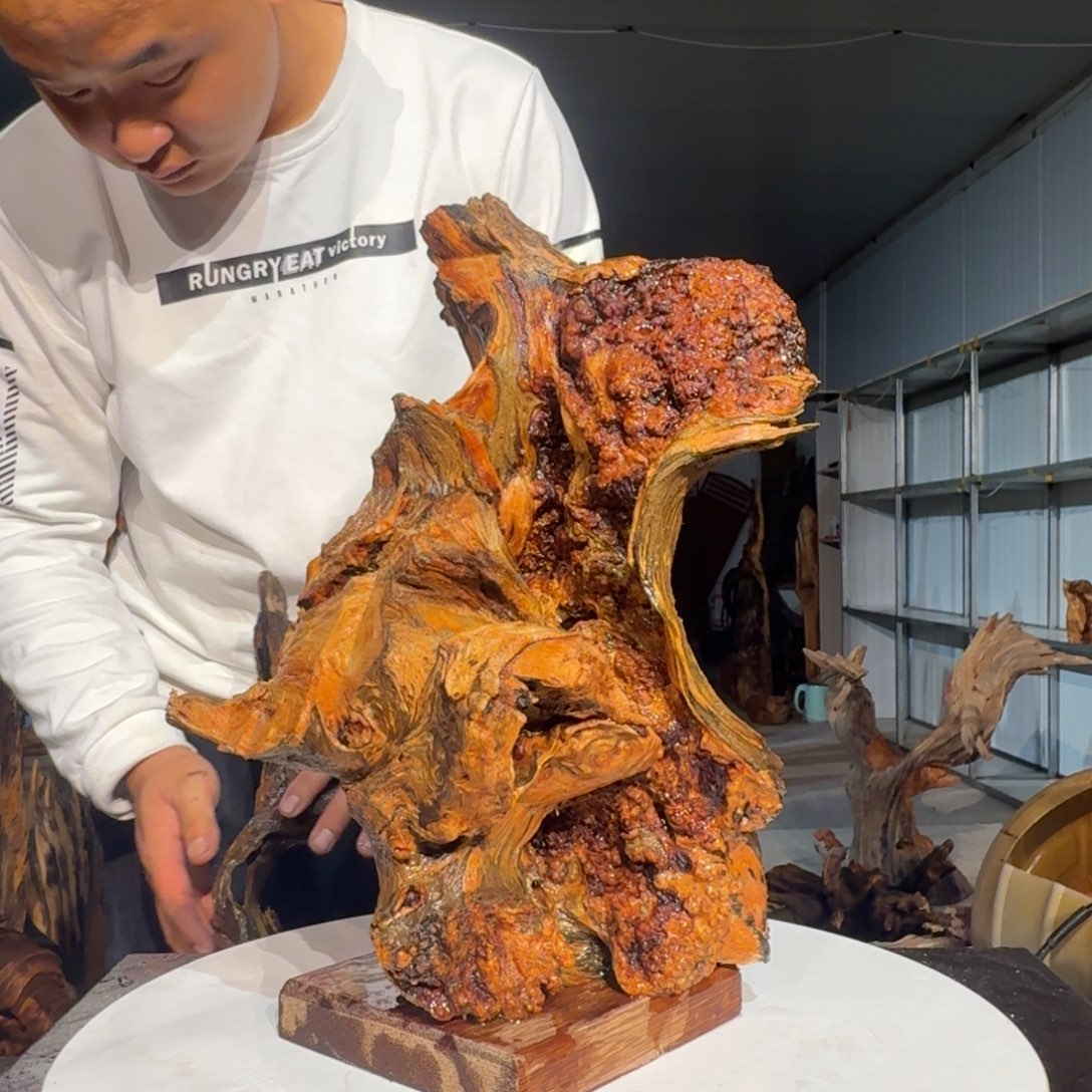 阿***甬树脂琥珀木天然根雕摆件31