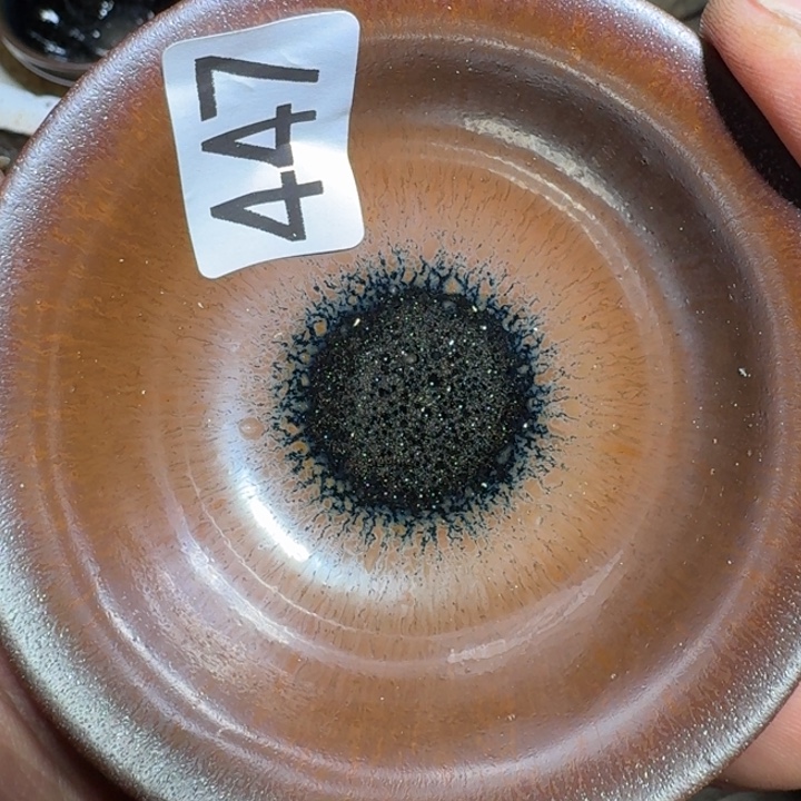 盖碗超级喜欢这个视频447集