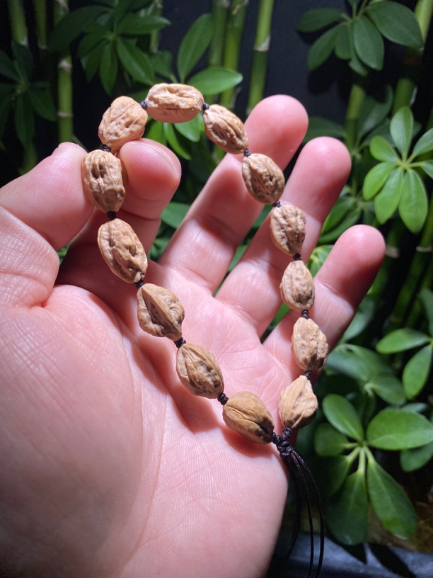 小蛤蟆头异形12尺寸 编号2007