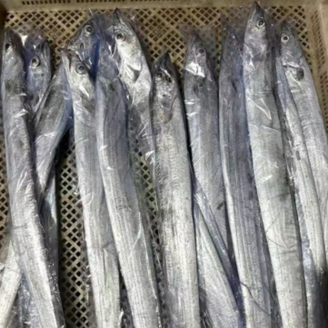 【东胜同城】野生带鱼盒装