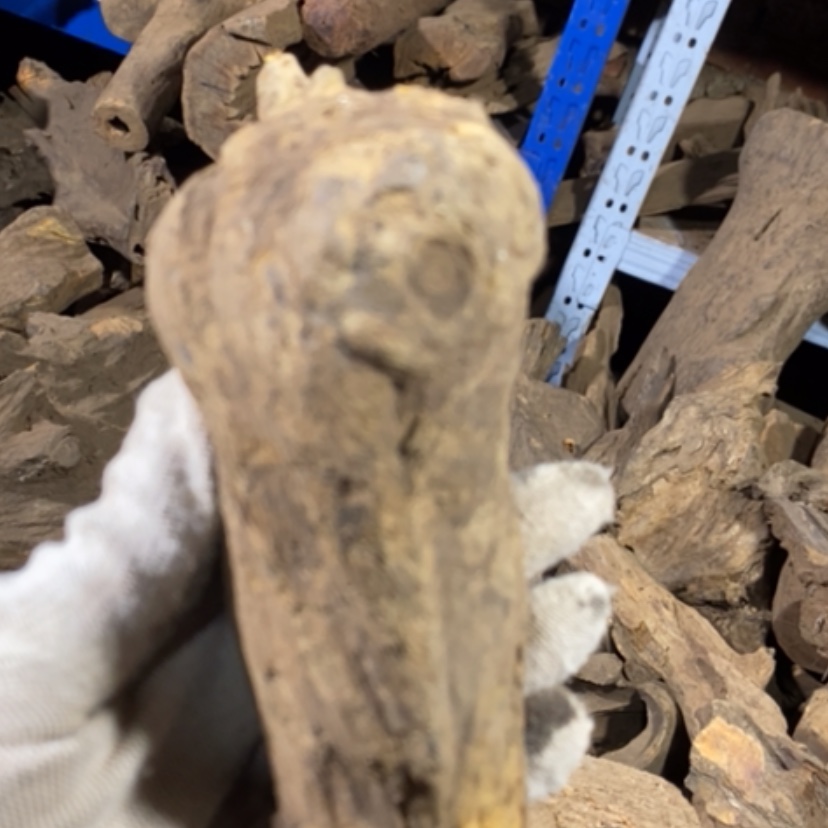 【闪购商品】贡木其他私人订制