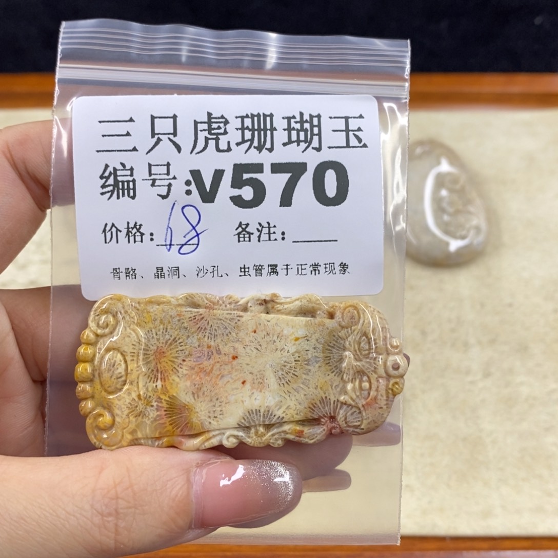 硅化珊瑚（珊瑚玉）未镶嵌1小*