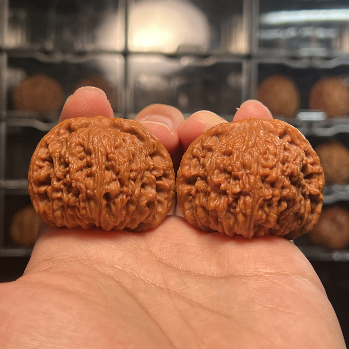 【今日福利】43尺全品赵喜满南疆石