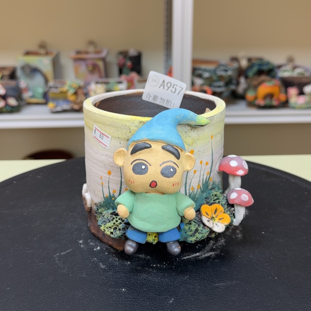 A957 【闪购】多肉花盆