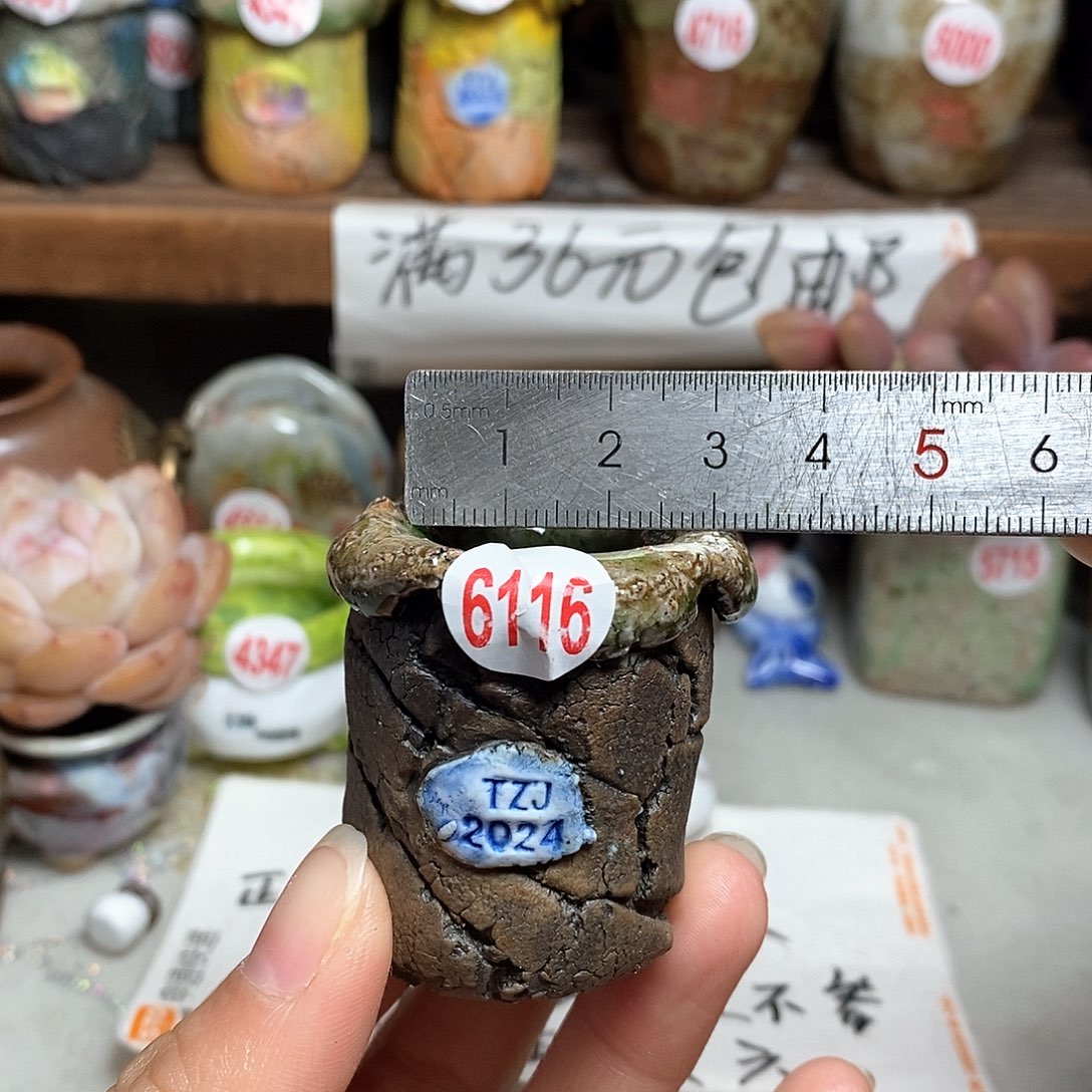 红陶拍5送一个小