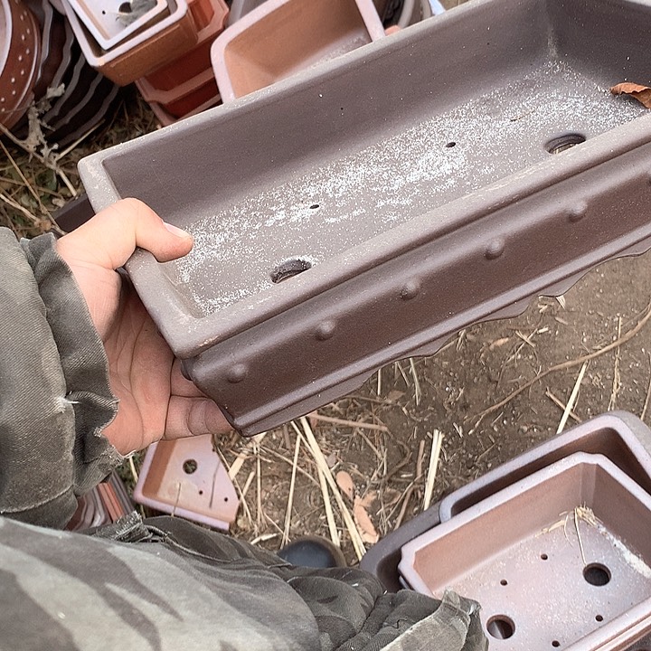 紫砂淘宝优惠券起单曲领