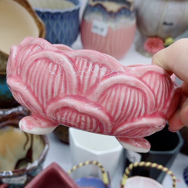多肉录制陶瓷花盆