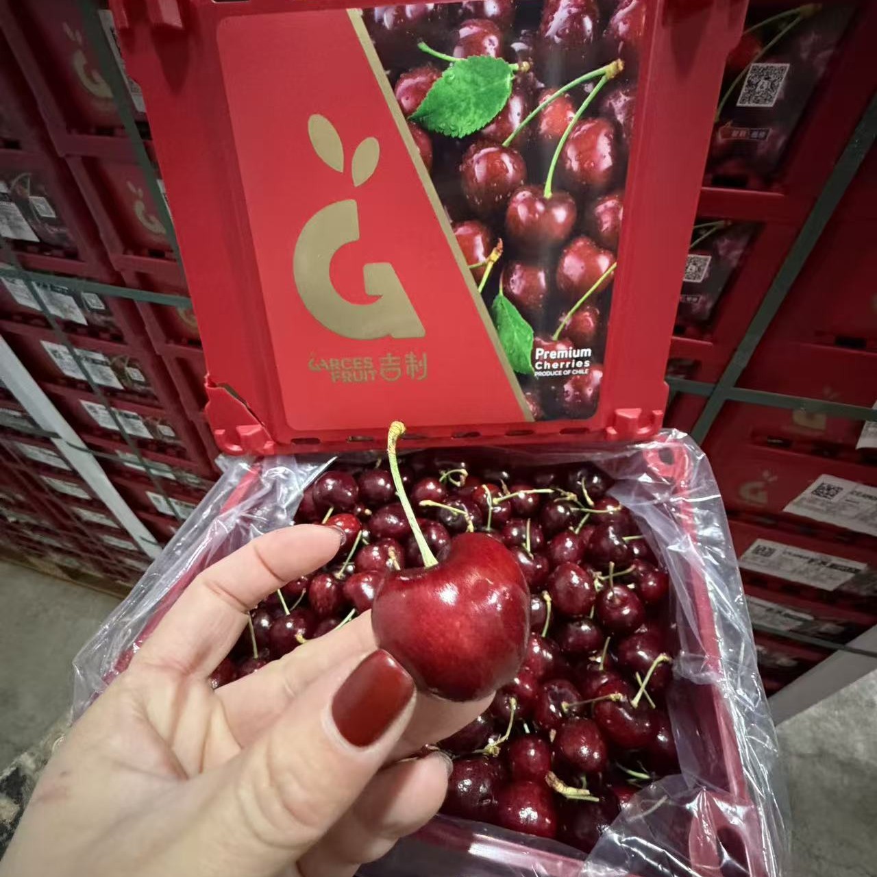 智利进口海运Lapins（拉宾斯）3JD三番大G车厘子内附果径卡