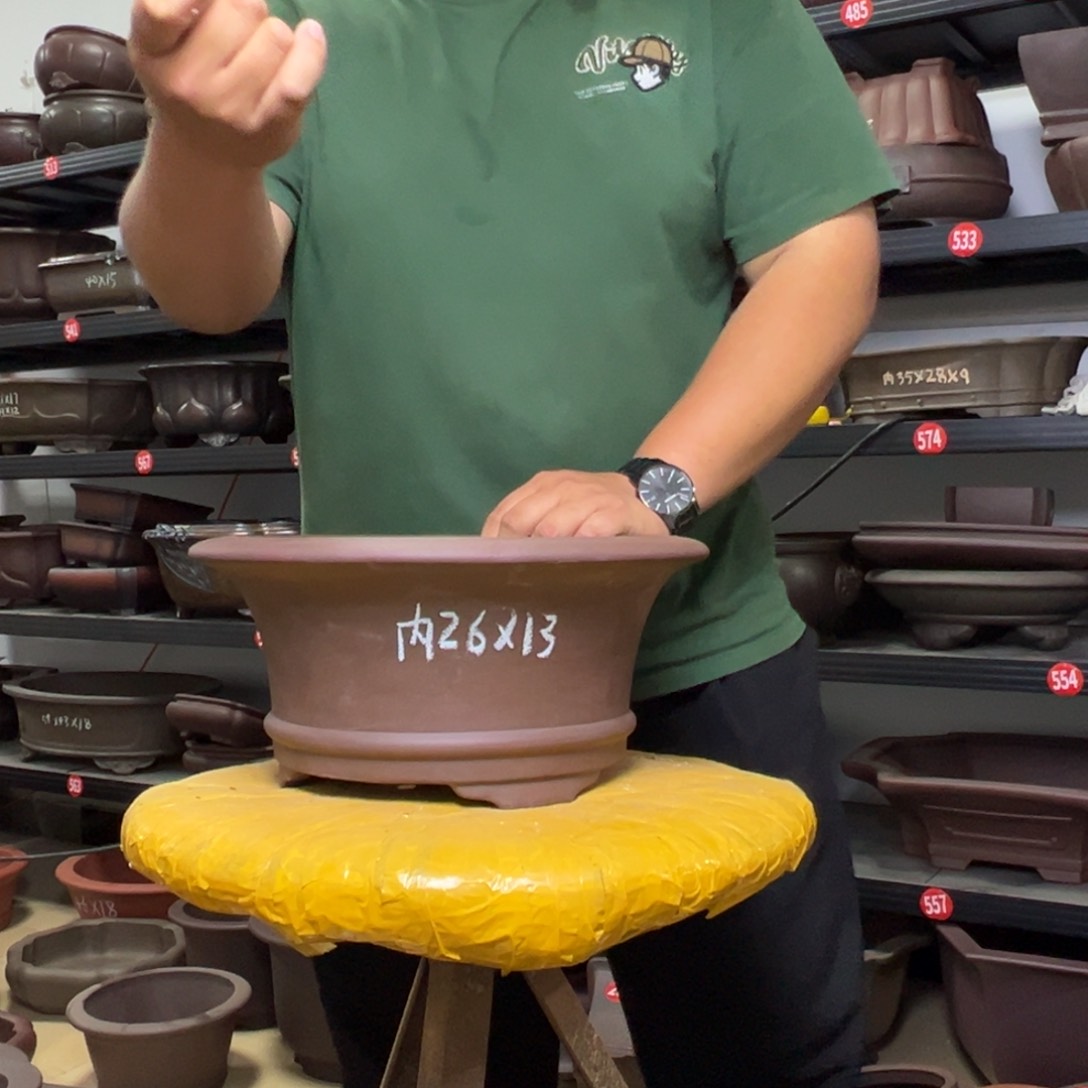 紫砂花盆呜呜呜呜呜