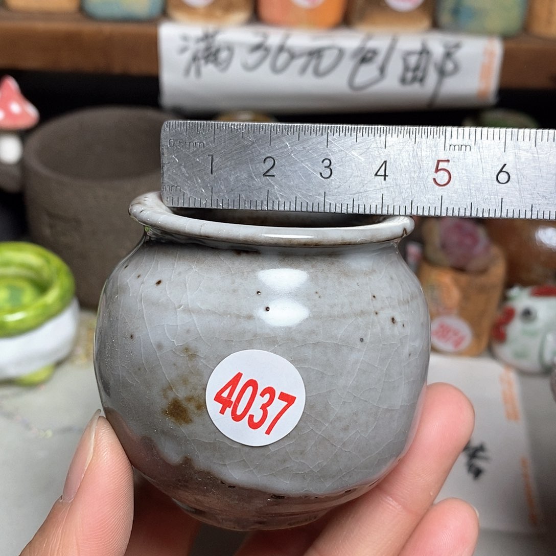 红陶拍5送一个小