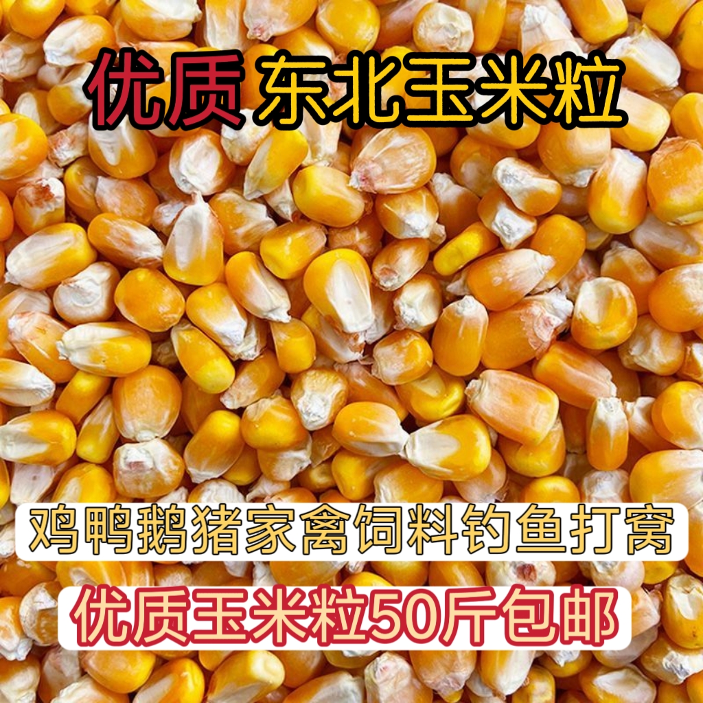 50斤优质玉米粒鸡鸭鹅猪宠物粮食钓鱼打窝