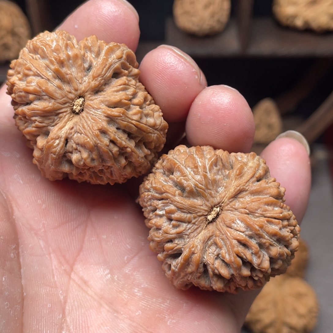 桃核把件何*龙37全品蒜头